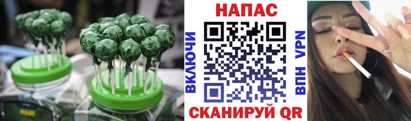 как найти наркотики  Белореченск  Canna-Cookies конопля 