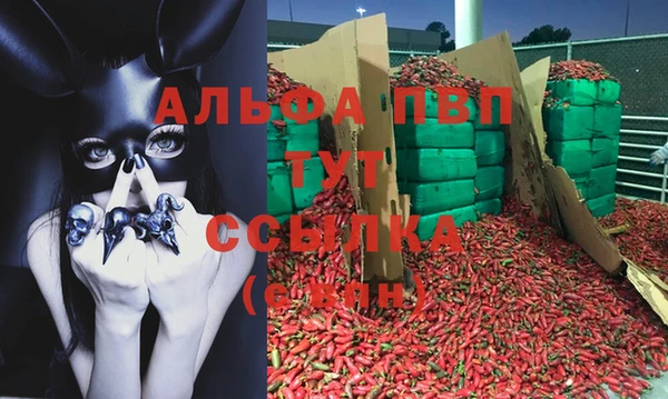 MESCALINE Богородицк