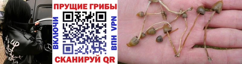 KRAKEN как войти  Белореченск  Галлюциногенные грибы мухоморы 